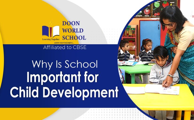Why Is School Important for Child Development